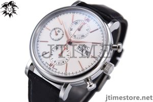 Portofino Chronograph IW391022