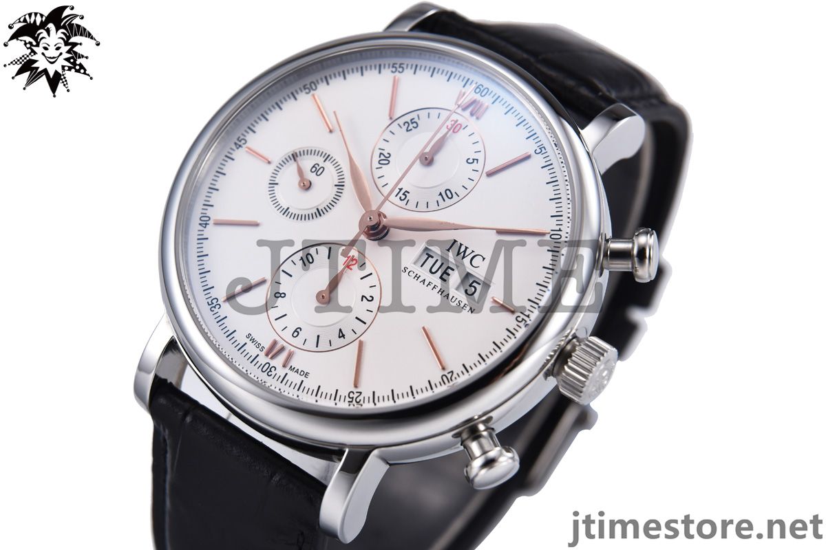 Portofino Chronograph IW391022