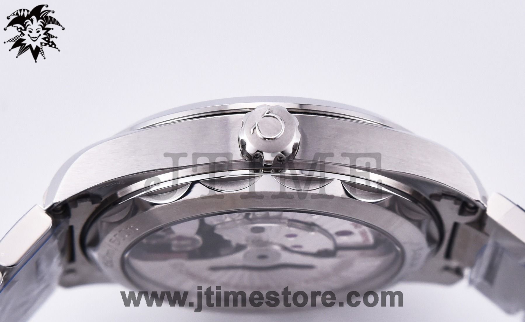 Aqua Terra 150M Master Chronometers - Image 3