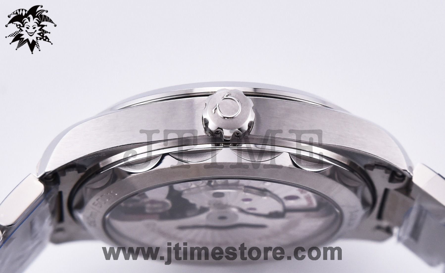 Aqua Terra 150M Master Chronometers - Image 5