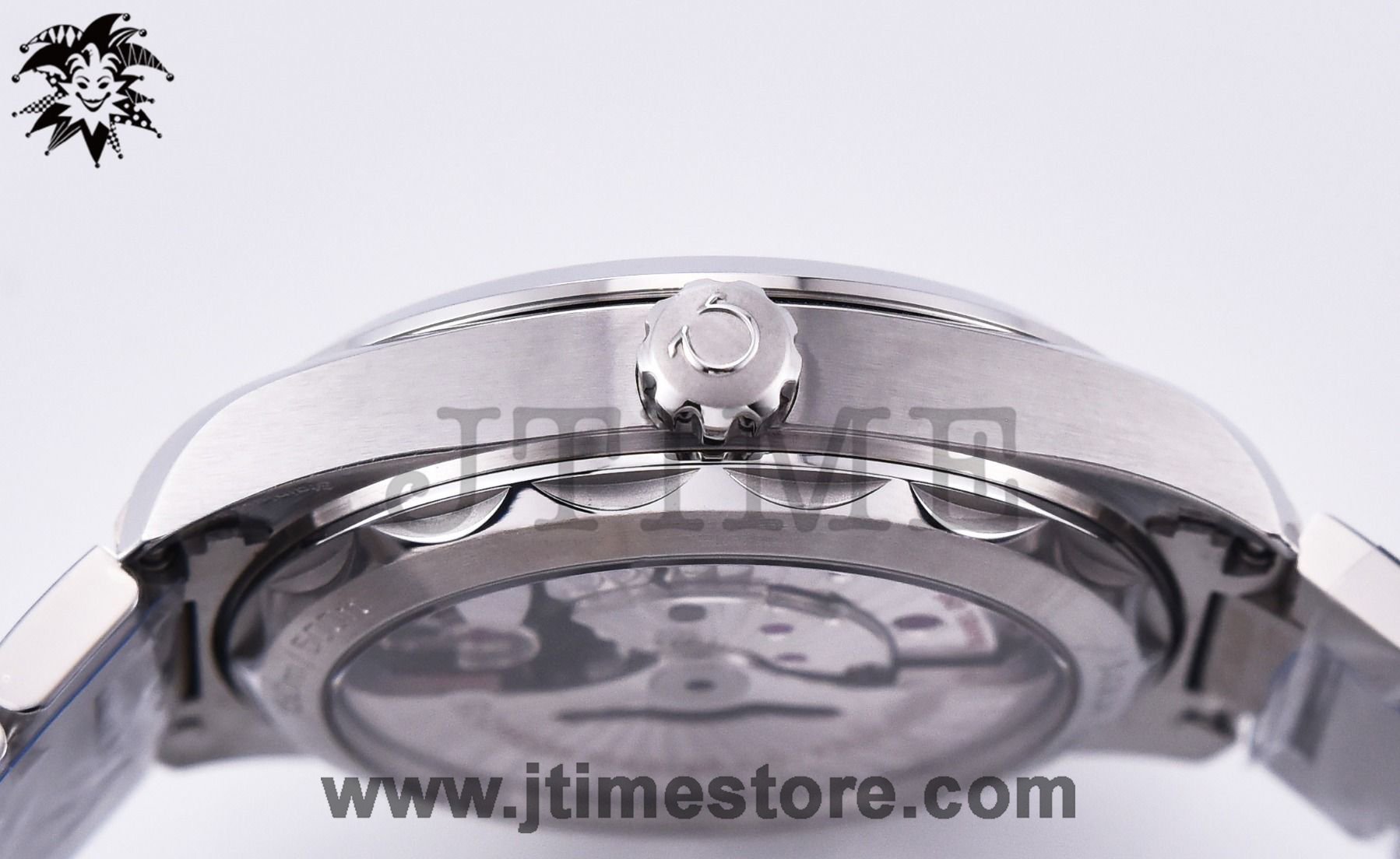 Aqua Terra 150M Master Chronometers - Image 4