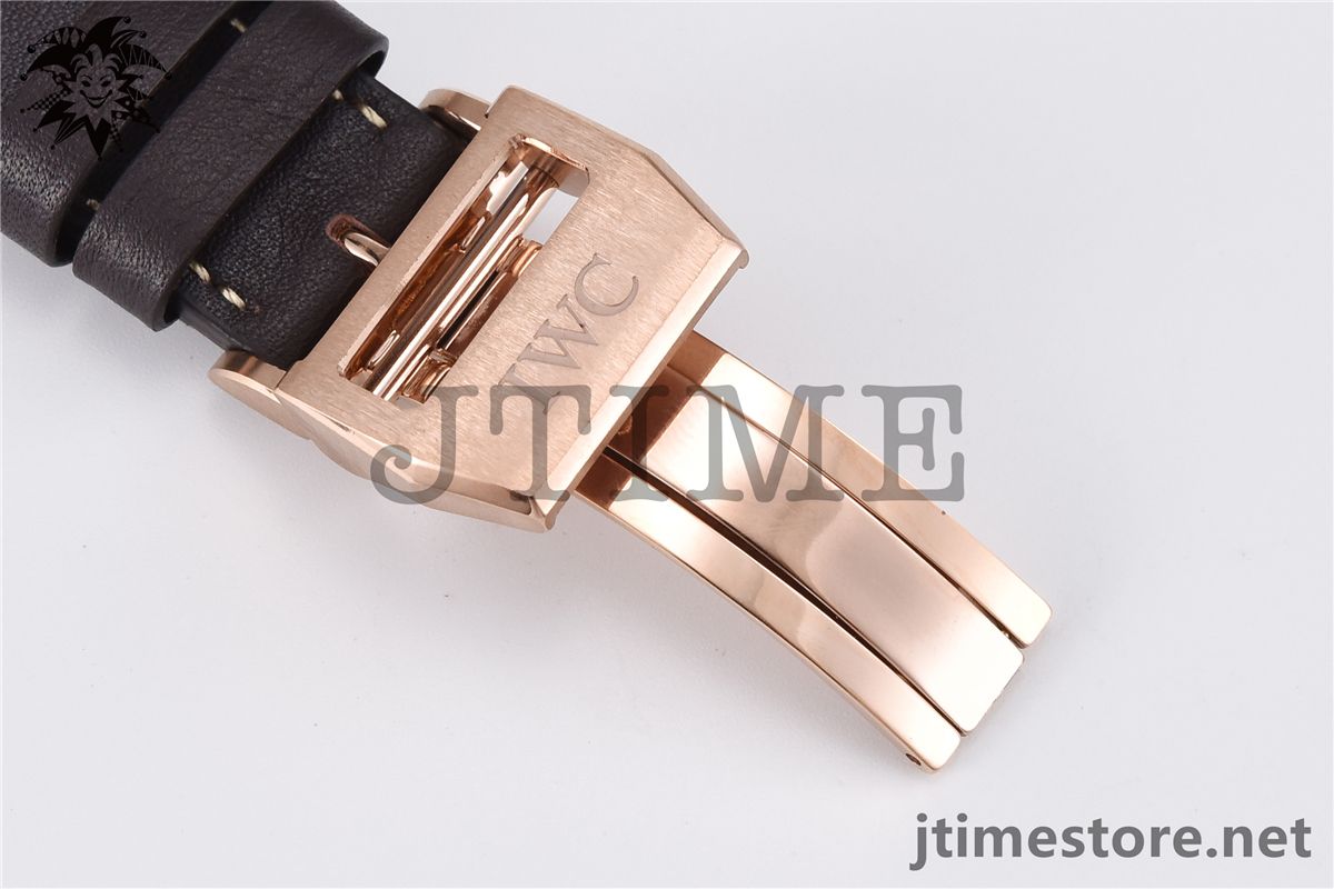 Big Pilot Real PR RG IW501005 YLF - Image 6