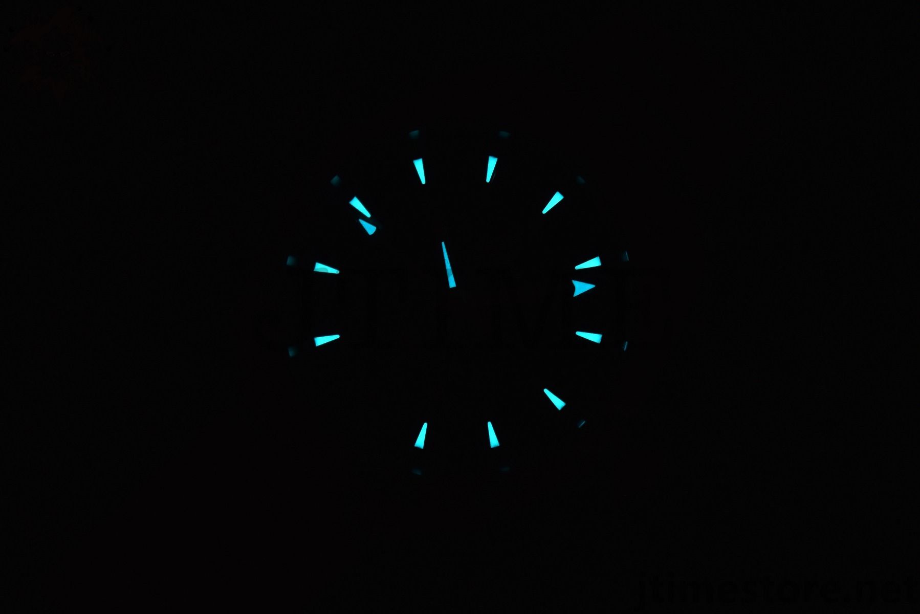 Aqua Terra 150M Master Chronometers VSF - Image 14
