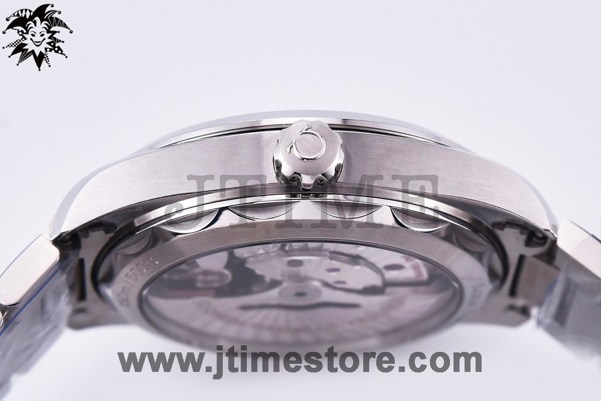 Aqua Terra 150M Master Chronometers VSF - Image 7